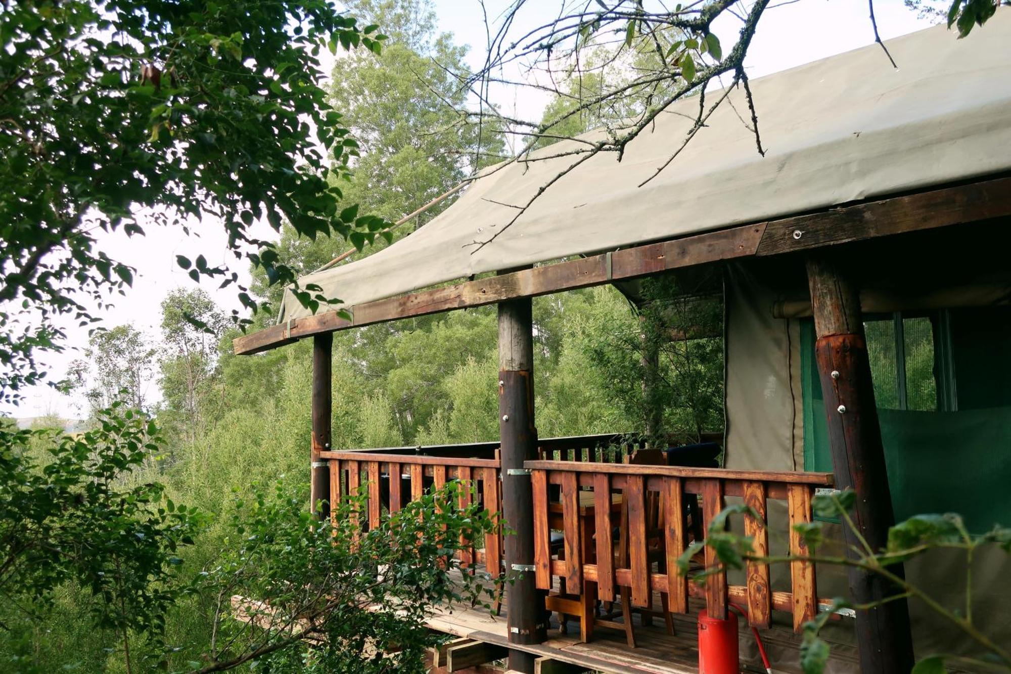 Fernhill Tented Treehouses Rheenendal Room photo