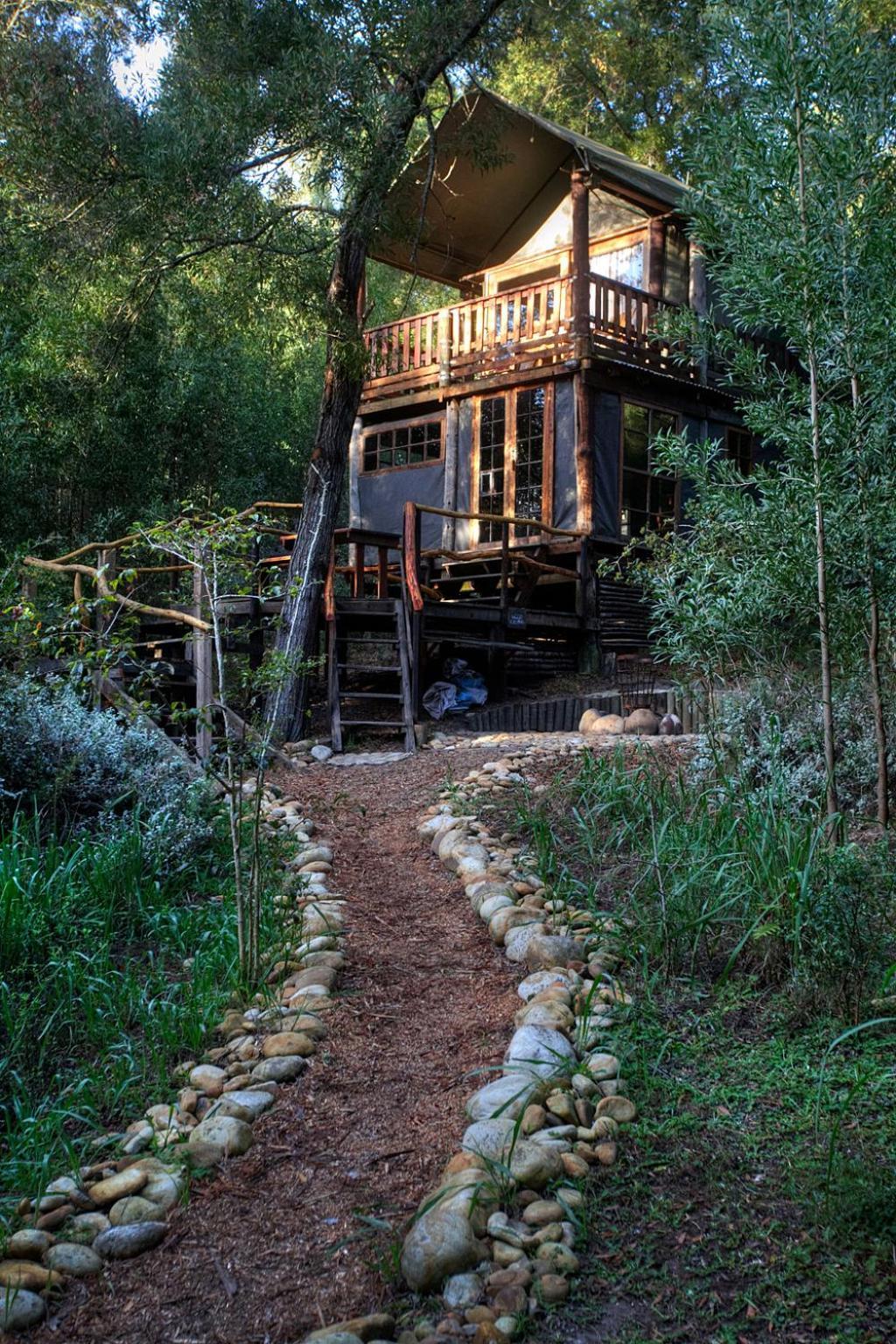 Fernhill Tented Treehouses Rheenendal Room photo